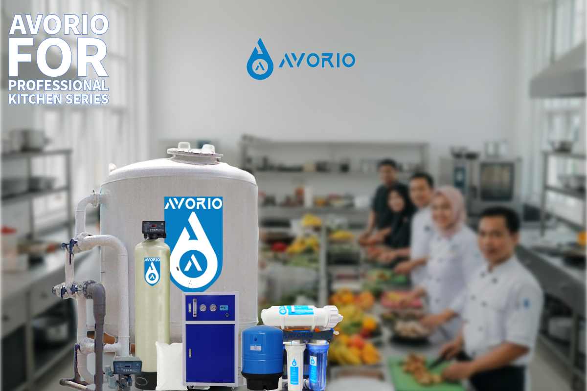 Filter Air Dapur MBG 2025: Harga, Spesifikasi, Dan Manfaat